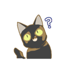 サビ猫さんご（個別スタンプ：29）