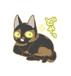 サビ猫さんご（個別スタンプ：31）