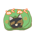 サビ猫さんご（個別スタンプ：32）