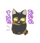 サビ猫さんご（個別スタンプ：35）