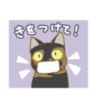 サビ猫さんご（個別スタンプ：38）