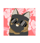 サビ猫さんご（個別スタンプ：39）