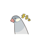 BIRDSTORY 文鳥あいさつスタンプ（個別スタンプ：2）