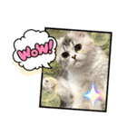毛玉怪獣つな猫スタンプ2（個別スタンプ：1）