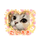 毛玉怪獣つな猫スタンプ2（個別スタンプ：3）