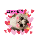 毛玉怪獣つな猫スタンプ2（個別スタンプ：6）