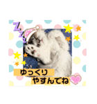 毛玉怪獣つな猫スタンプ2（個別スタンプ：9）