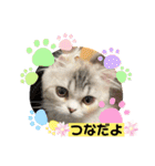 毛玉怪獣つな猫スタンプ2（個別スタンプ：13）