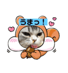 毛玉怪獣つな猫スタンプ2（個別スタンプ：14）