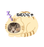 毛玉怪獣つな猫スタンプ2（個別スタンプ：16）