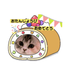 毛玉怪獣つな猫スタンプ2（個別スタンプ：24）