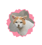 かりんと愉快な仲間たち♪(猫・ねこ・ネコ)（個別スタンプ：4）