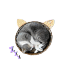 かりんと愉快な仲間たち♪(猫・ねこ・ネコ)（個別スタンプ：12）