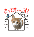 かりんと愉快な仲間たち♪(猫・ねこ・ネコ)（個別スタンプ：24）