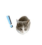 かりんと愉快な仲間たち♪(猫・ねこ・ネコ)（個別スタンプ：26）