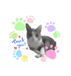 かりんと愉快な仲間たち♪(猫・ねこ・ネコ)（個別スタンプ：27）