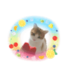 かりんと愉快な仲間たち♪(猫・ねこ・ネコ)（個別スタンプ：39）