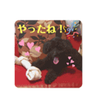 りゅうちゃん・わくちゃん と なかまたち（個別スタンプ：6）