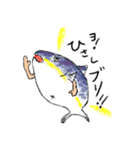 今年のさんまは不良だぜ！（個別スタンプ：7）