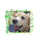 姫ちゃん2021（個別スタンプ：5）