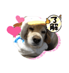 姫ちゃん2021（個別スタンプ：13）