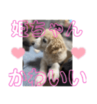 姫ちゃん2021（個別スタンプ：24）