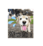 姫ちゃん2021（個別スタンプ：27）