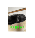 ルビー君のスタンプですw（個別スタンプ：3）