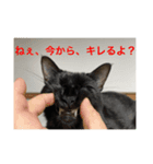 ルビー君のスタンプですw（個別スタンプ：5）