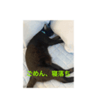 ルビー君のスタンプですw（個別スタンプ：7）