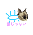うちゅうじんくんのラフなスタンプ（個別スタンプ：23）