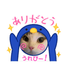 愛猫♡日常スタンプ2（個別スタンプ：3）