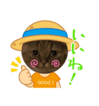 愛猫♡日常スタンプ2（個別スタンプ：6）