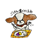 シーズー犬クッキーの日常使いスタンプ1（個別スタンプ：1）