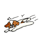 シーズー犬クッキーの日常使いスタンプ1（個別スタンプ：2）