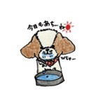 シーズー犬クッキーの日常使いスタンプ1（個別スタンプ：3）