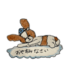 シーズー犬クッキーの日常使いスタンプ1（個別スタンプ：6）
