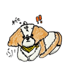 シーズー犬クッキーの日常使いスタンプ1（個別スタンプ：7）