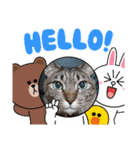 Maro(ФωФ)（個別スタンプ：2）