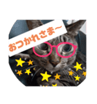Maro(ФωФ)（個別スタンプ：3）