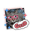 Maro(ФωФ)（個別スタンプ：4）