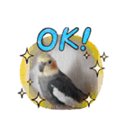 Maro(ФωФ)（個別スタンプ：6）