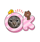 Maro(ФωФ)（個別スタンプ：10）