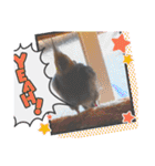 Maro(ФωФ)（個別スタンプ：12）