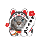 Maro(ФωФ)（個別スタンプ：17）