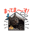 Maro(ФωФ)（個別スタンプ：18）