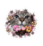 Maro(ФωФ)（個別スタンプ：21）