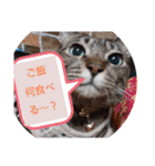 Maro(ФωФ)（個別スタンプ：22）