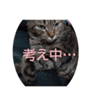 Maro(ФωФ)（個別スタンプ：24）