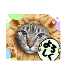 Maro(ФωФ)（個別スタンプ：25）